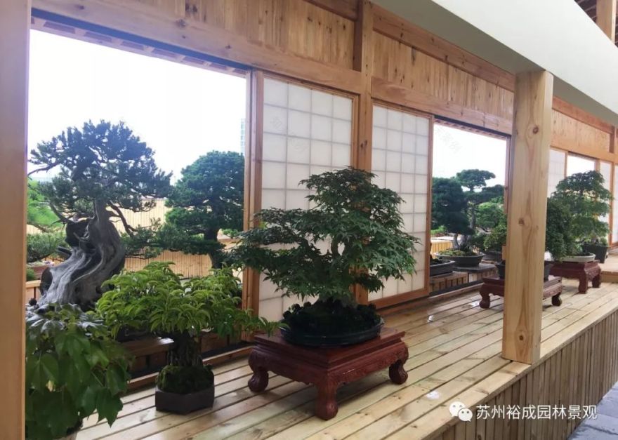 禅意屋顶花园,品茗抚琴如诗如画-32