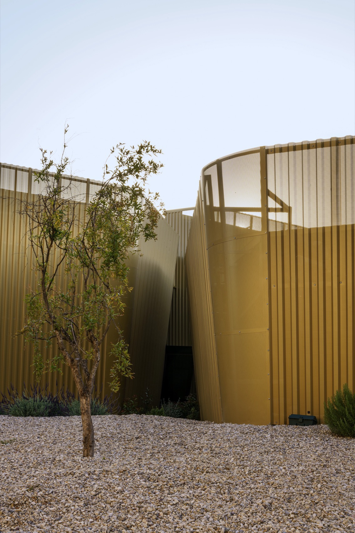 Acesur橄榄油榨油厂丨Mollinedo Arquitectura-26