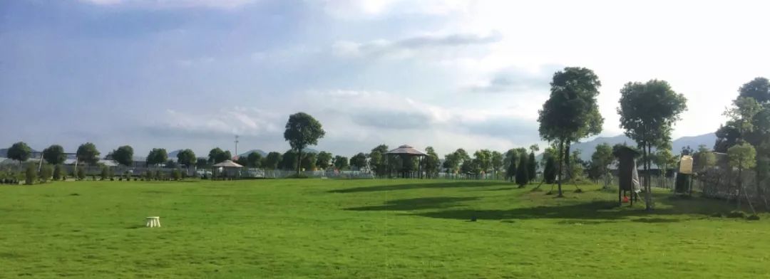 台州小羽农场-5