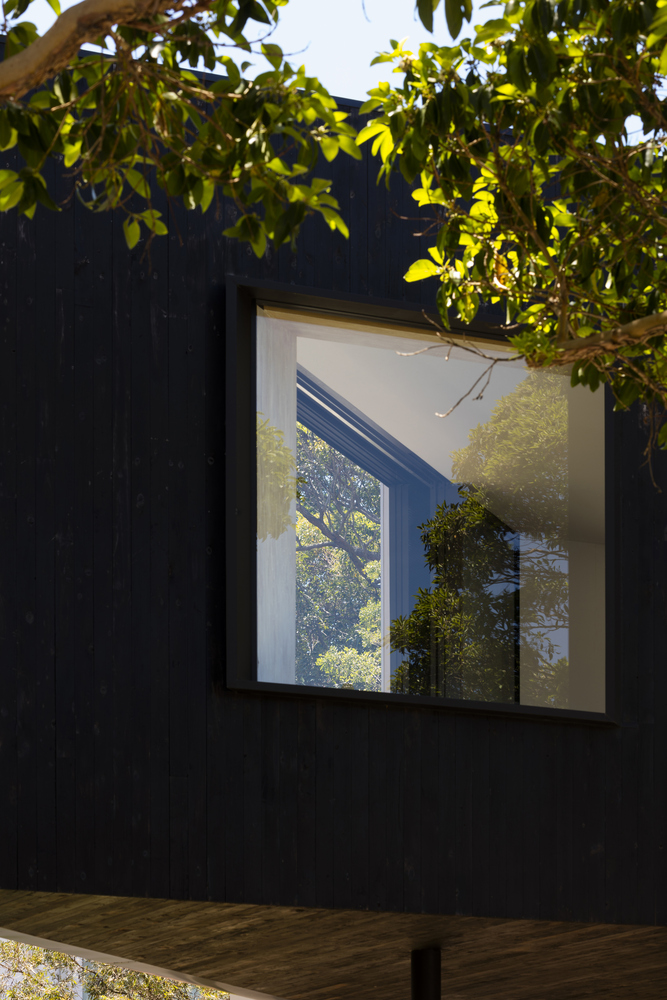 悉尼树顶之家-47