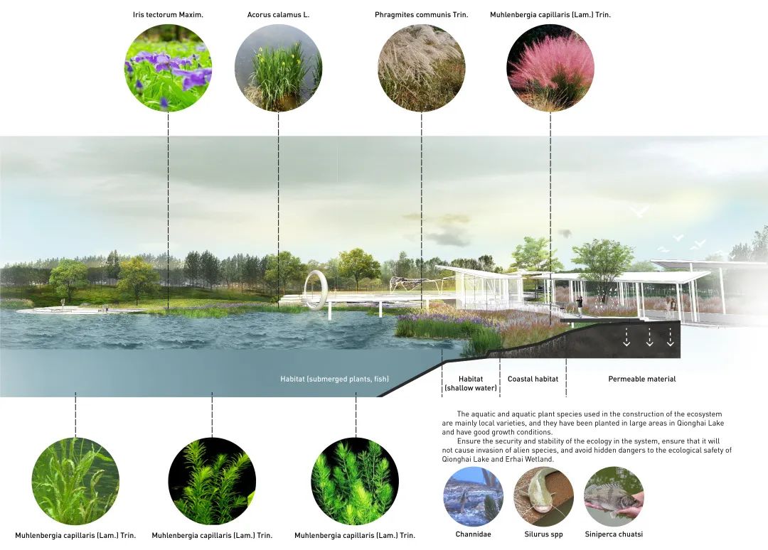 悦动的海平线 · 邛海17度星月湖公园【DAOYUAN·29期】-36