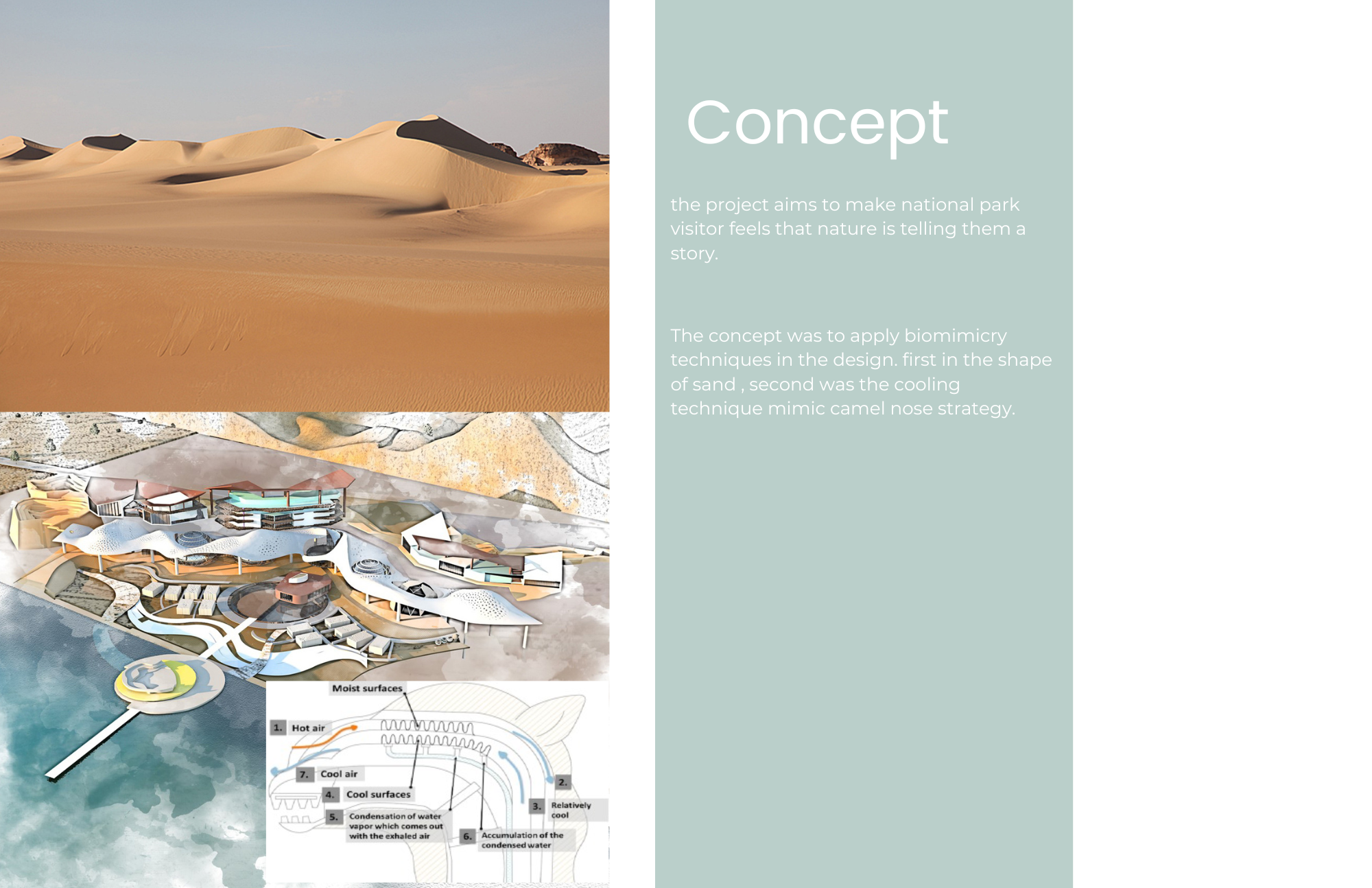 " Village of Nature " Graduation project 2019-2