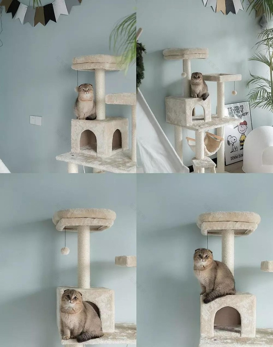 吾隅设计 | 你还敢再“色”一点吗?设计师!-84