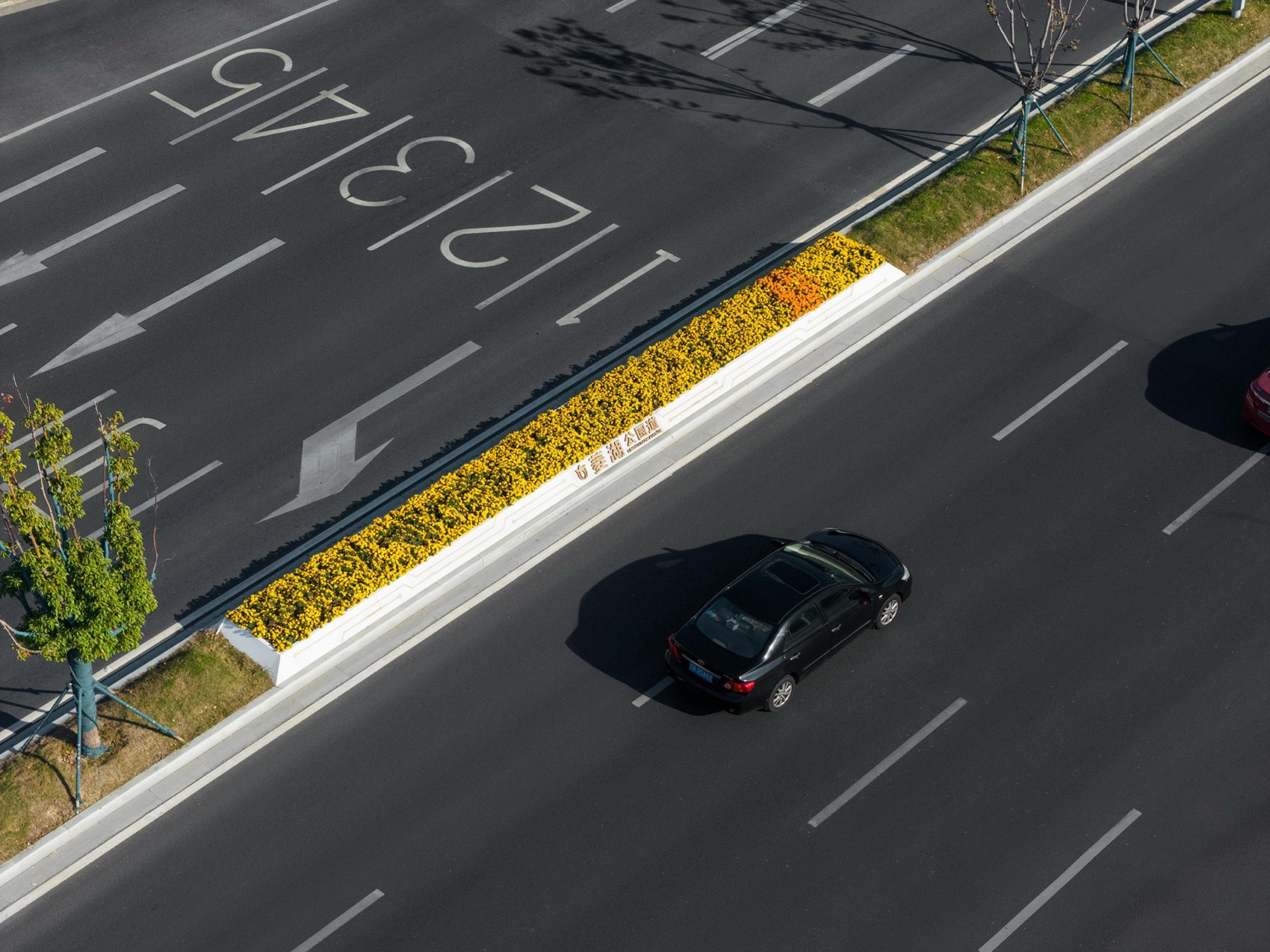 无锡菱湖大道沿线景观提升丨中国无锡丨MYP迈柏-47