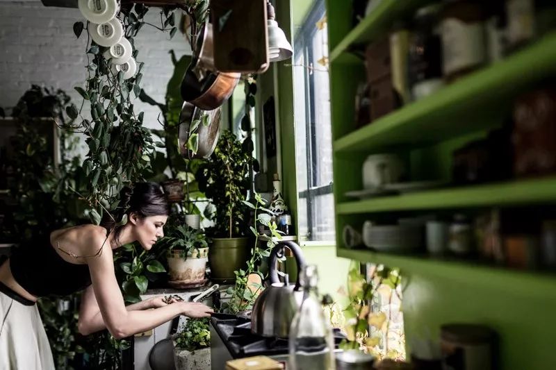 与自然共生 | 一个被植物包围的家-30