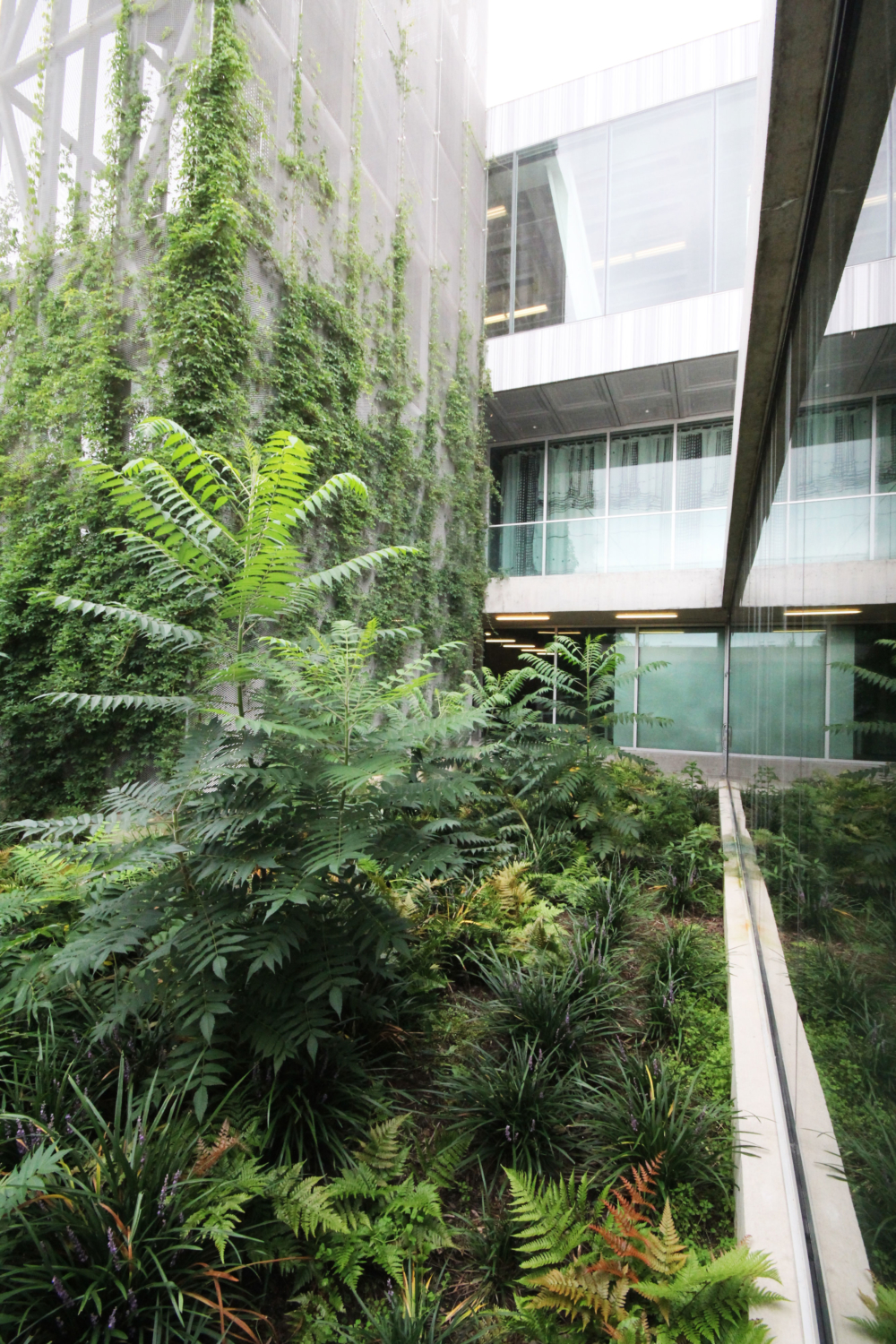 
          Cornell University Milstein Hall - SCAPE      -2