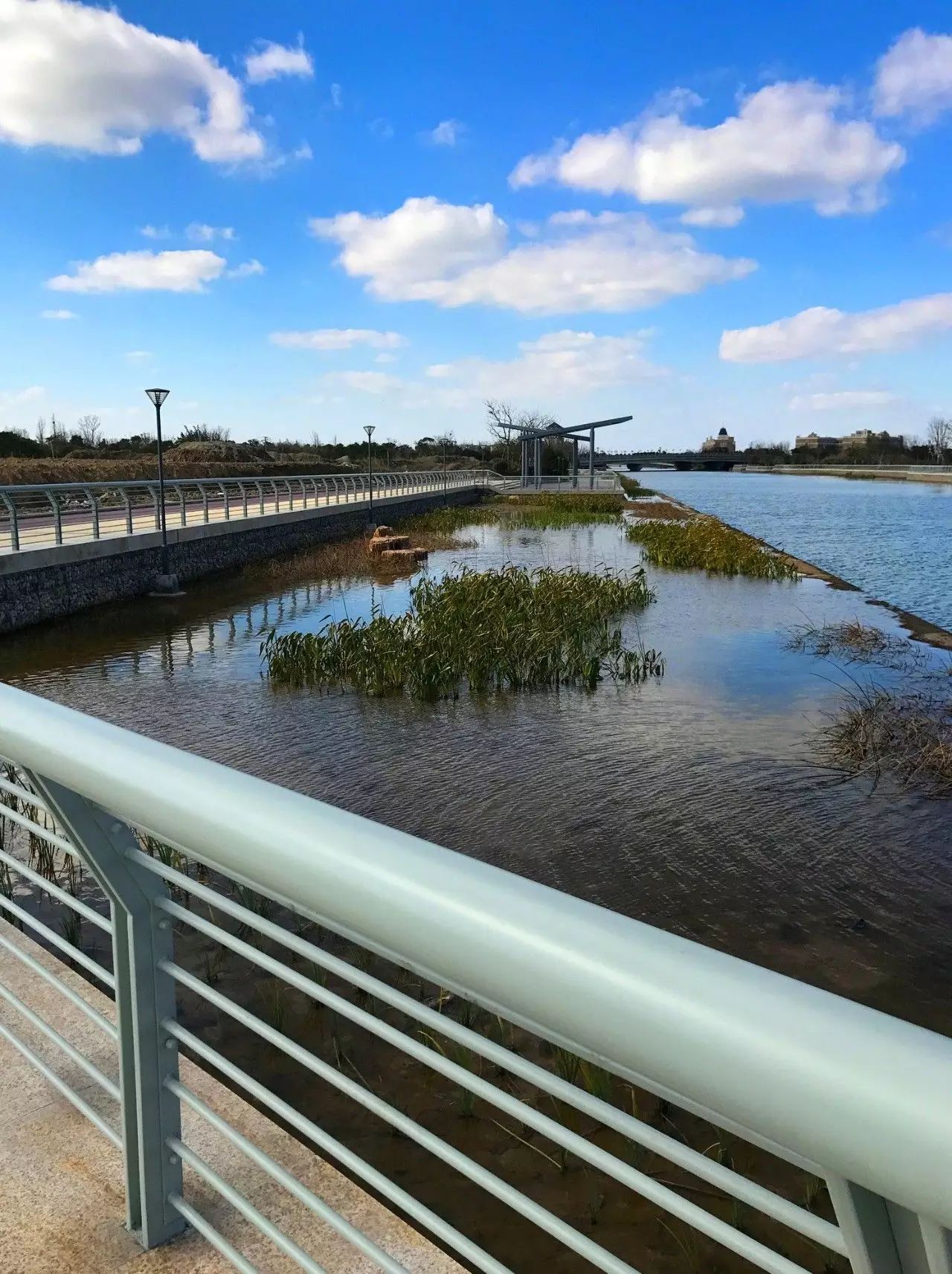 YB. GROUP ♦ 崇明岛-朱雀河公共滨水绿廊-51