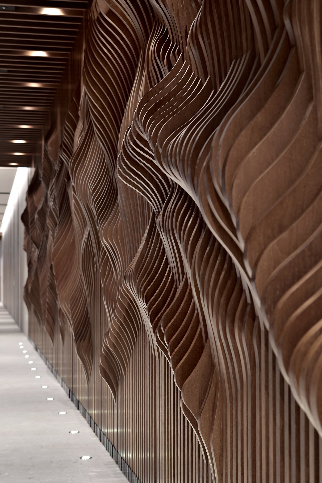 大明索诺费利切德尔皮诺-6