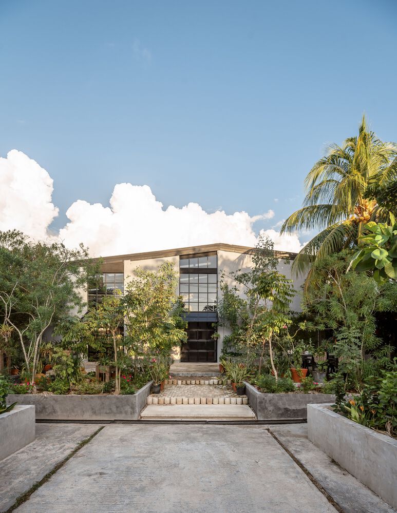 The Cellar House 工业仓库改造住宅丨墨西哥丨Taller Verde Arquitectura-30