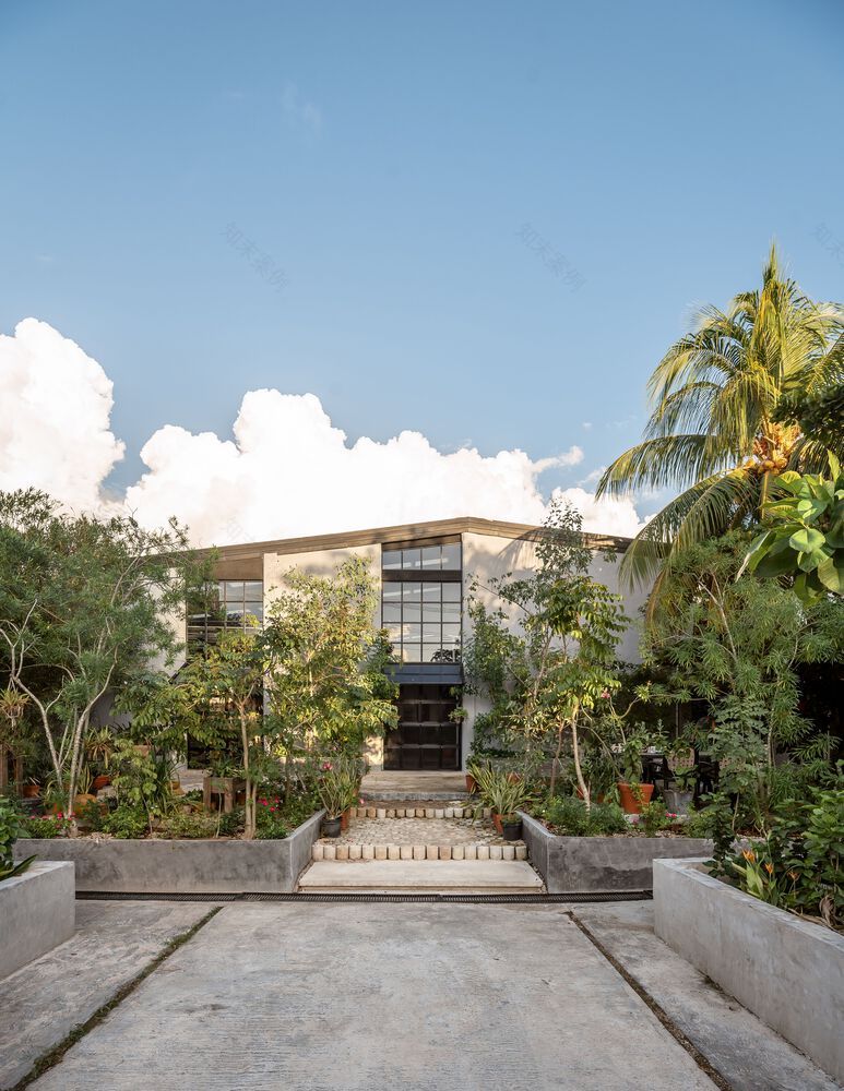 The Cellar House 工业仓库改造住宅丨墨西哥丨Taller Verde Arquitectura-30