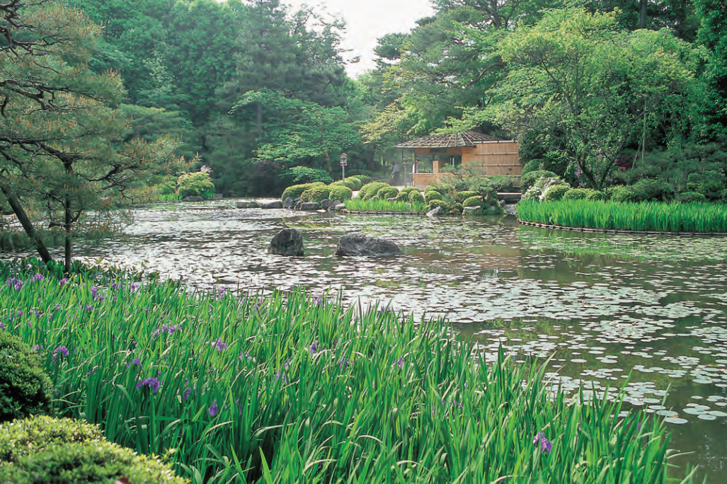 日本庭园艺术 | 传统与现代的完美结合-80