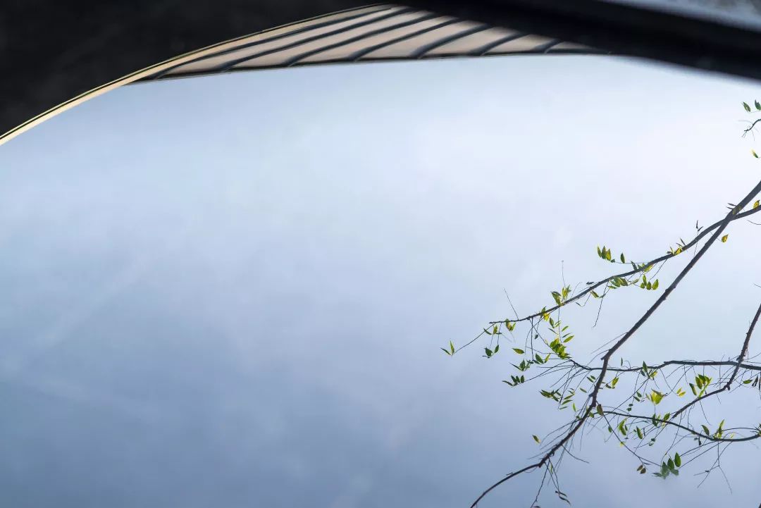 项目巡礼｜中南·君启  花萼初绽，演绎现代唐风雅致-64