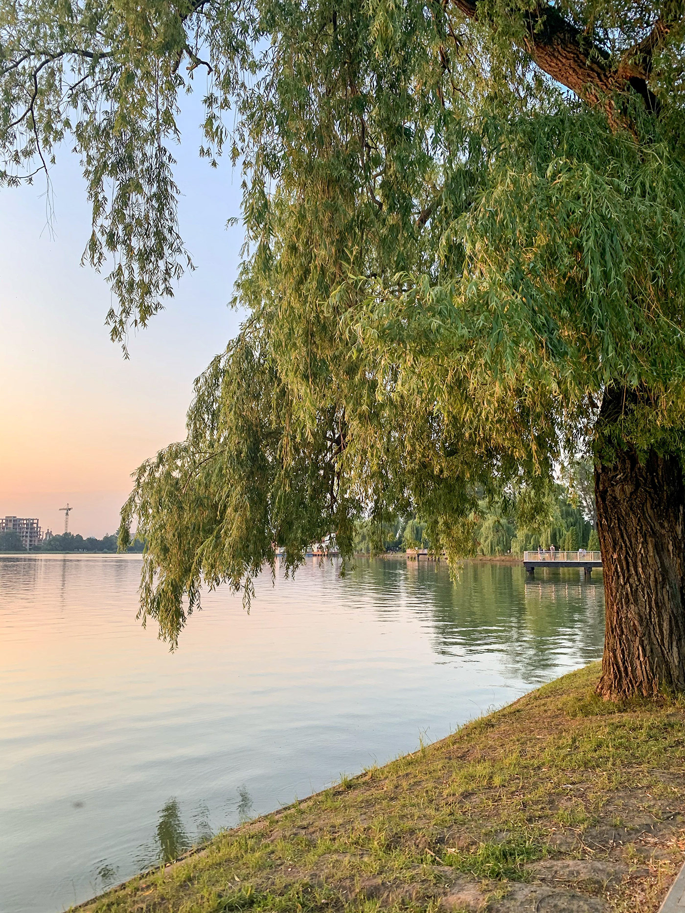 伊万诺夫斯基公园湖畔漫步丨乌克兰-4