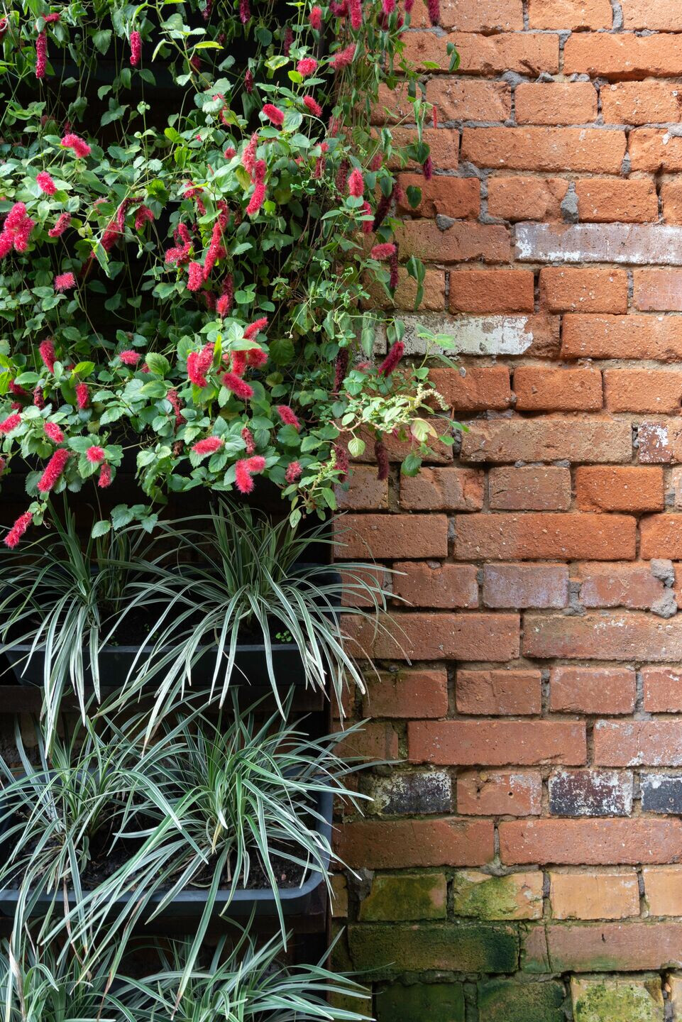 巴西城市绿洲·Doca Beer Garden-24