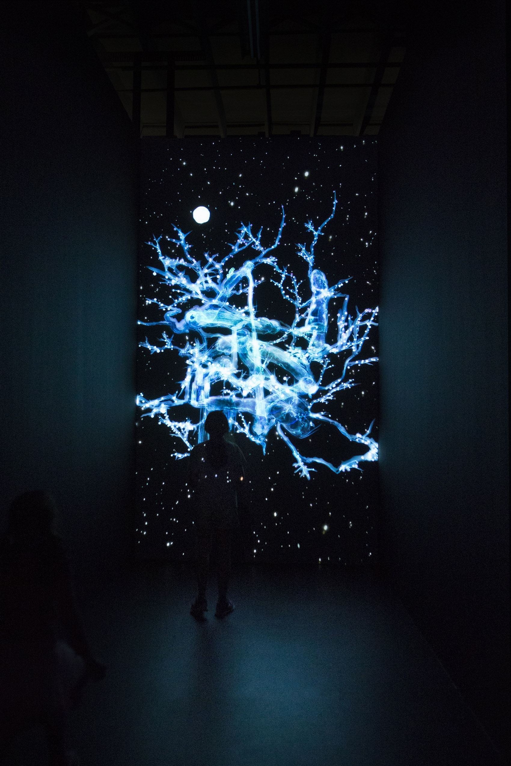 teamLab 2017 深圳北京大展:舞蹈吧,艺术!寓教于乐的未来游乐园!-151