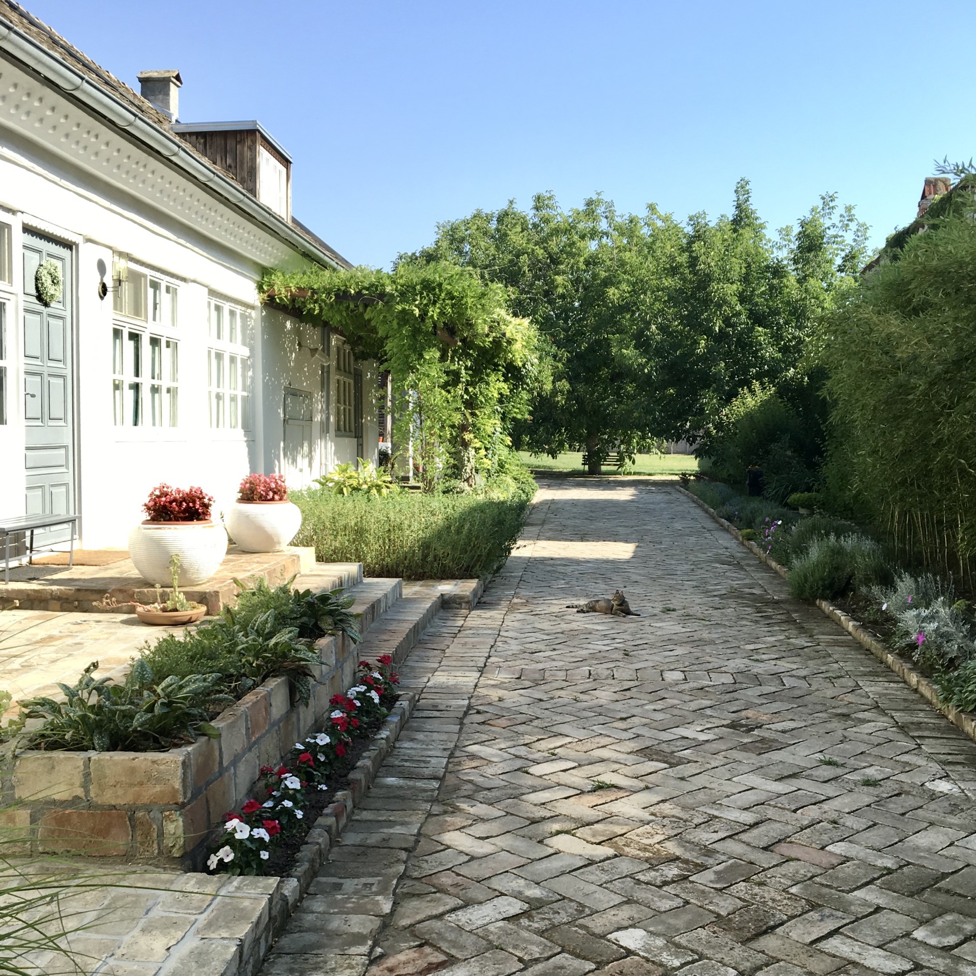 旧沃伊沃迪纳房屋改造项目-19