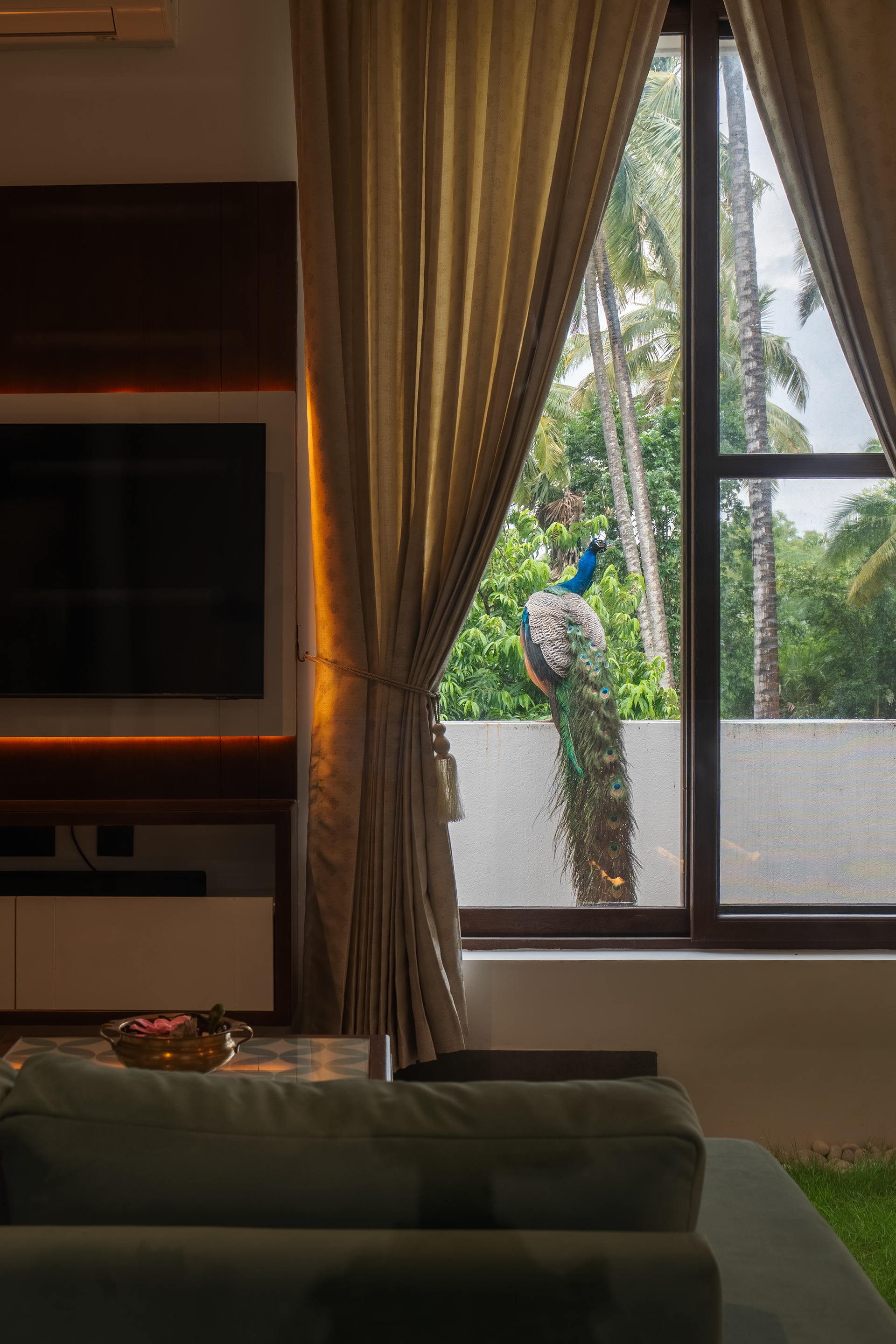 客厅丨Studio Hara Pada-15