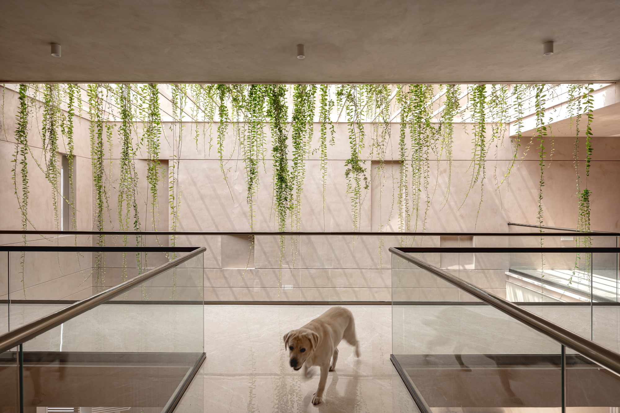 莫尔豪斯丨印度丨Spacefiction Studio-47