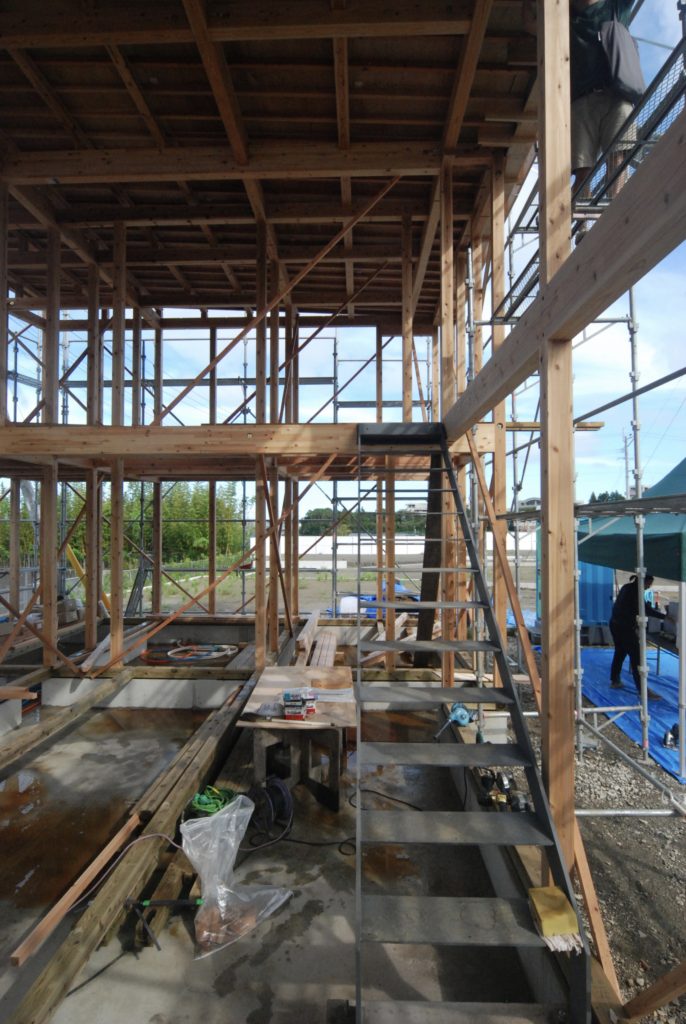 Park North House #186 - COGITE-49