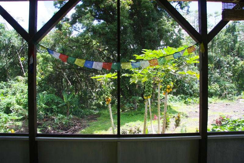 夏威夷木桩木屋丨美国夏威夷-17