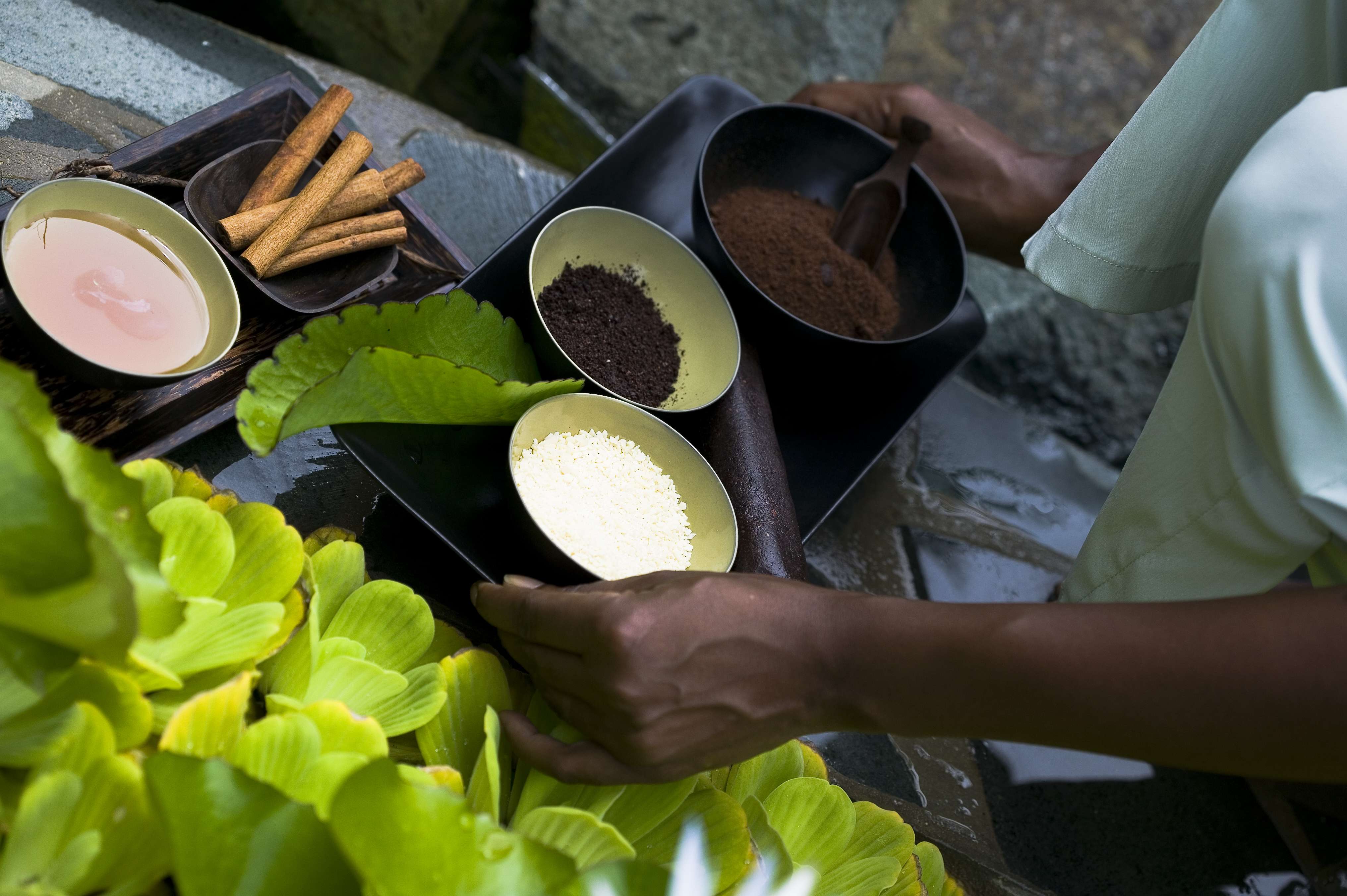 Discovery at Marigot Bay（东加勒比海，圣卢西亚岛）-17