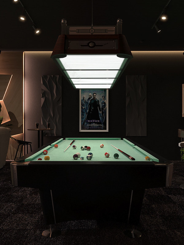 男人的私人娱乐室-2