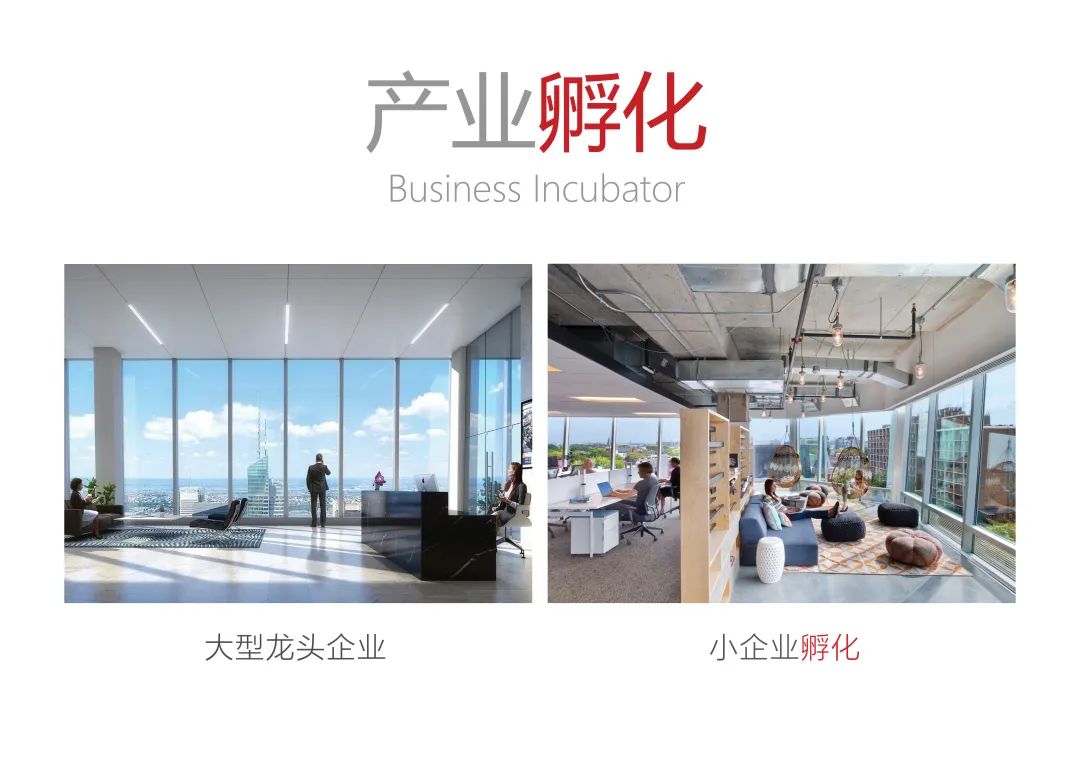 张江高科周浦办公园区丨中国上海丨贝诺Benoy Ltd.-12