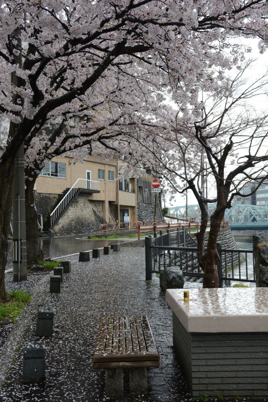 谷口吉郎·吉生纪念 金泽建筑馆丨日本丨谷口吉生-71