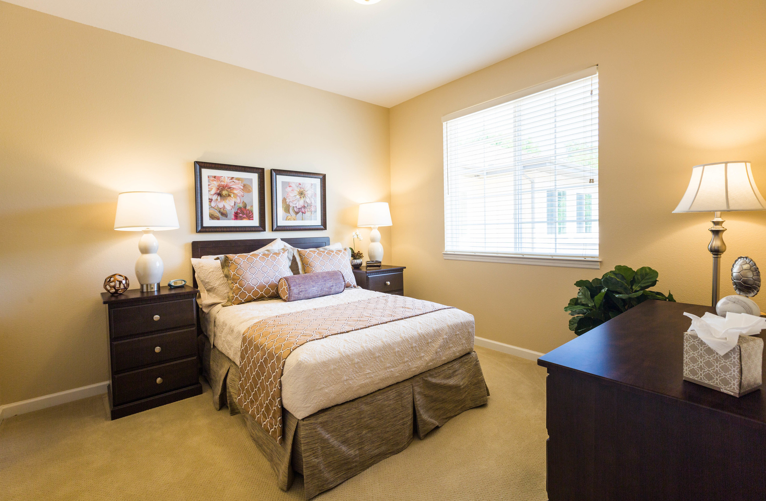 Dougherty Ferry Assisted Living & Memory Care — Vessel Architecture-30