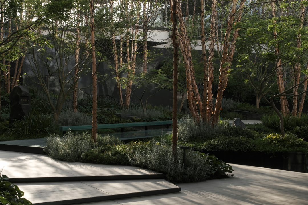 苏州蠡棠森屿-在苏州城市注脚下，种上一片森林丨中国苏州丨MIND  迈德景观-30