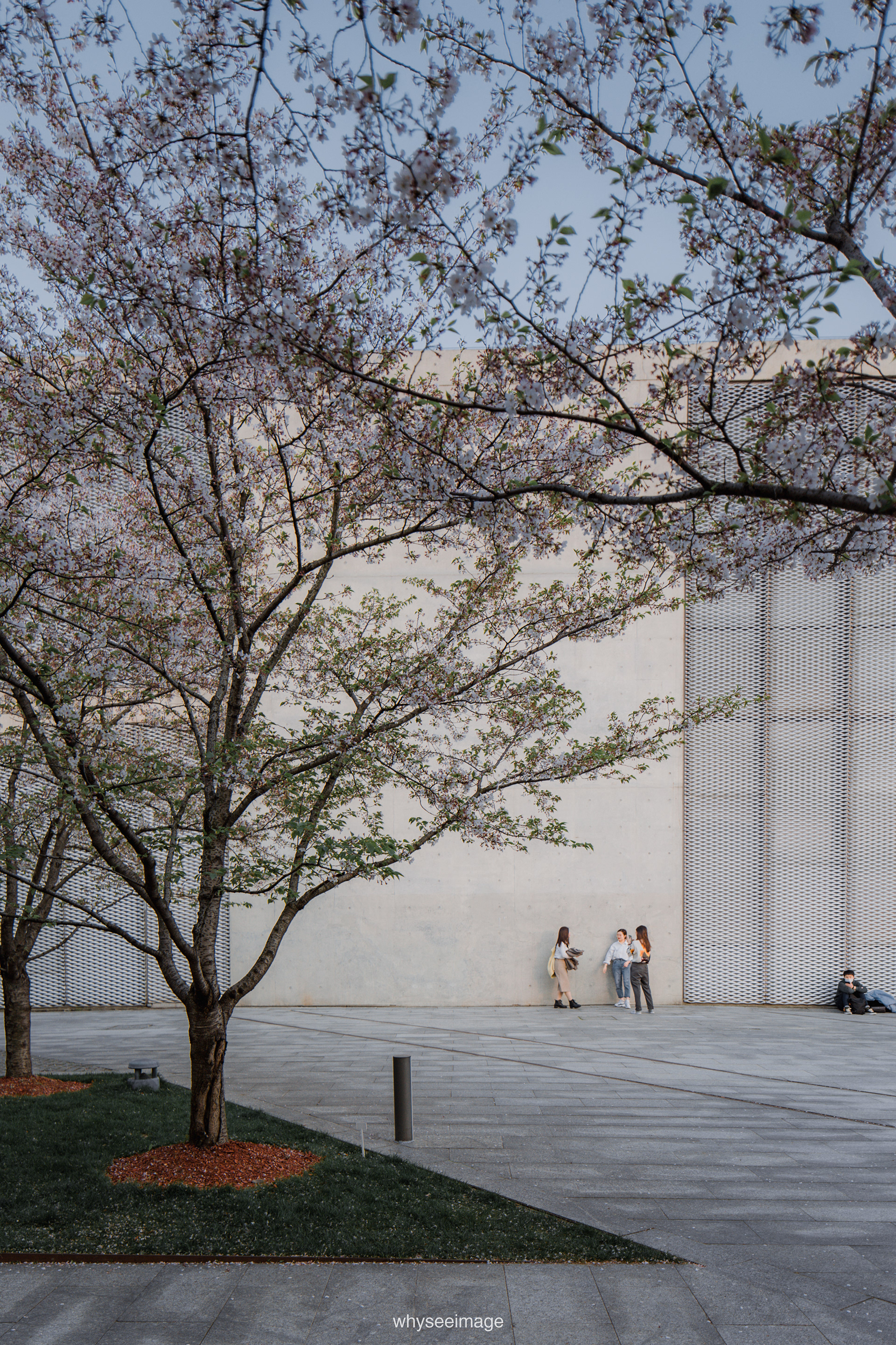 樱花+龙美术馆丨中国上海丨大舍建筑设计工作室-137