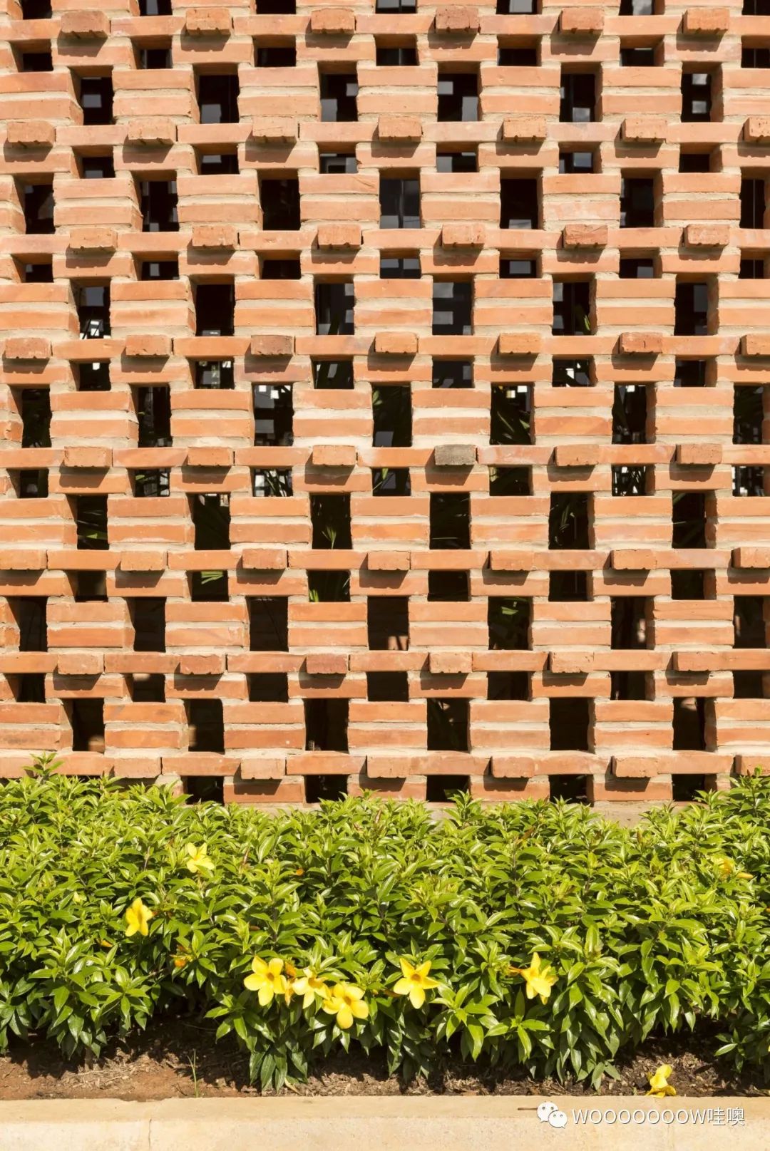 巴西 Unileão 大学体育馆 | 砖纹理与绿意空间的巧妙结合-17