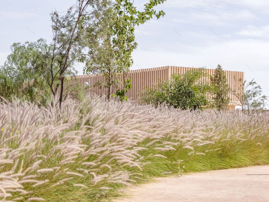 本古里尔体育校区丨摩洛哥丨OUALALOU+CHOI-24