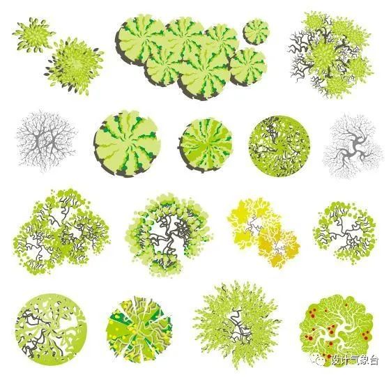 青春系彩平植物素材-53