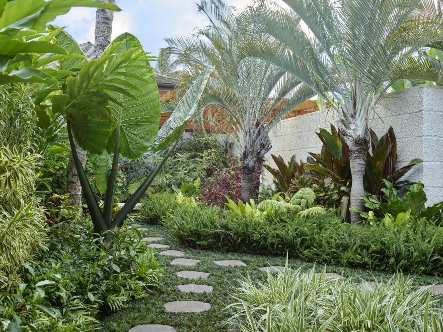 潮池花园丨United StatesKailua丨Surfacedesign,Inc-16