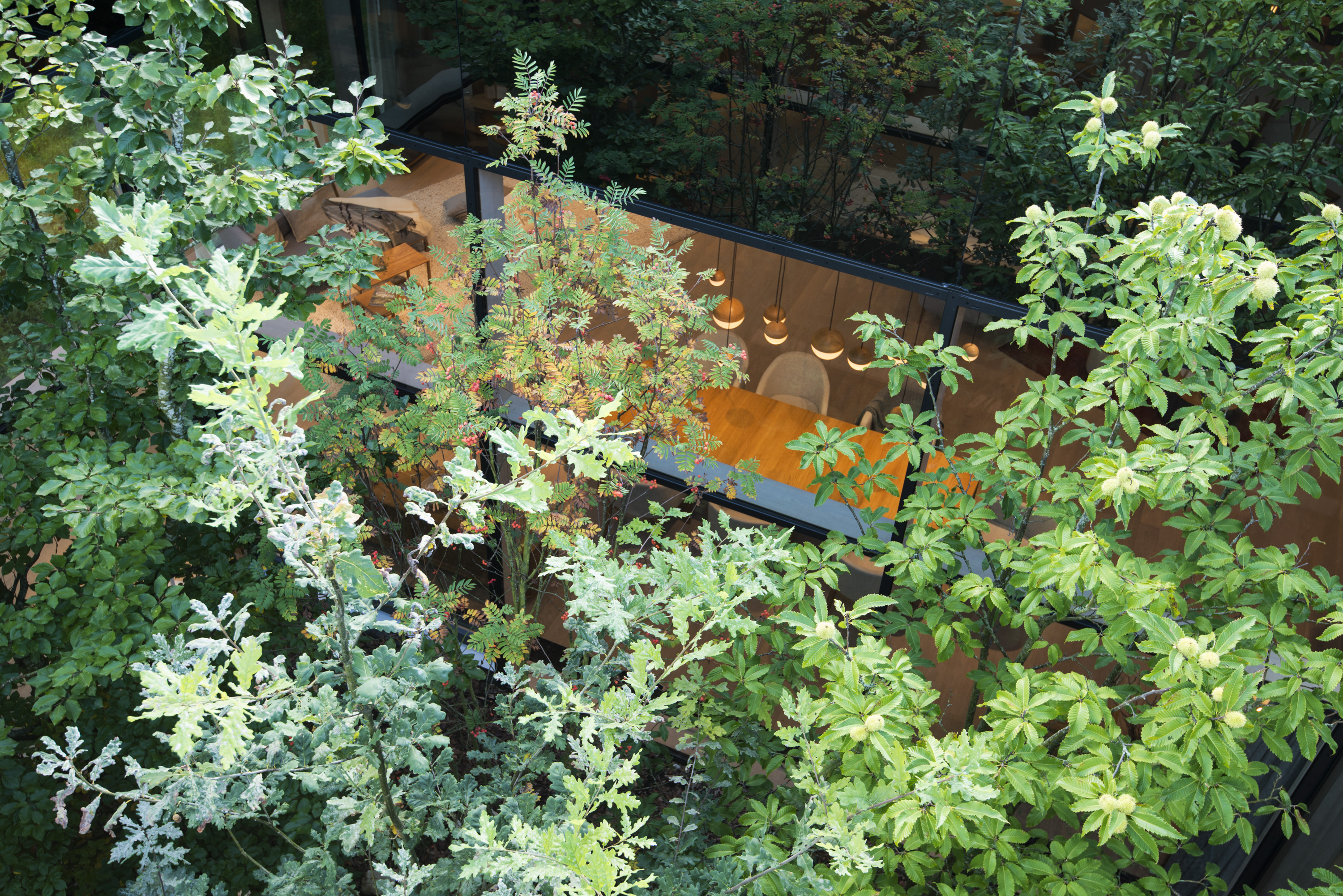 绿肺总部 | 植物动力呼吸建筑-44