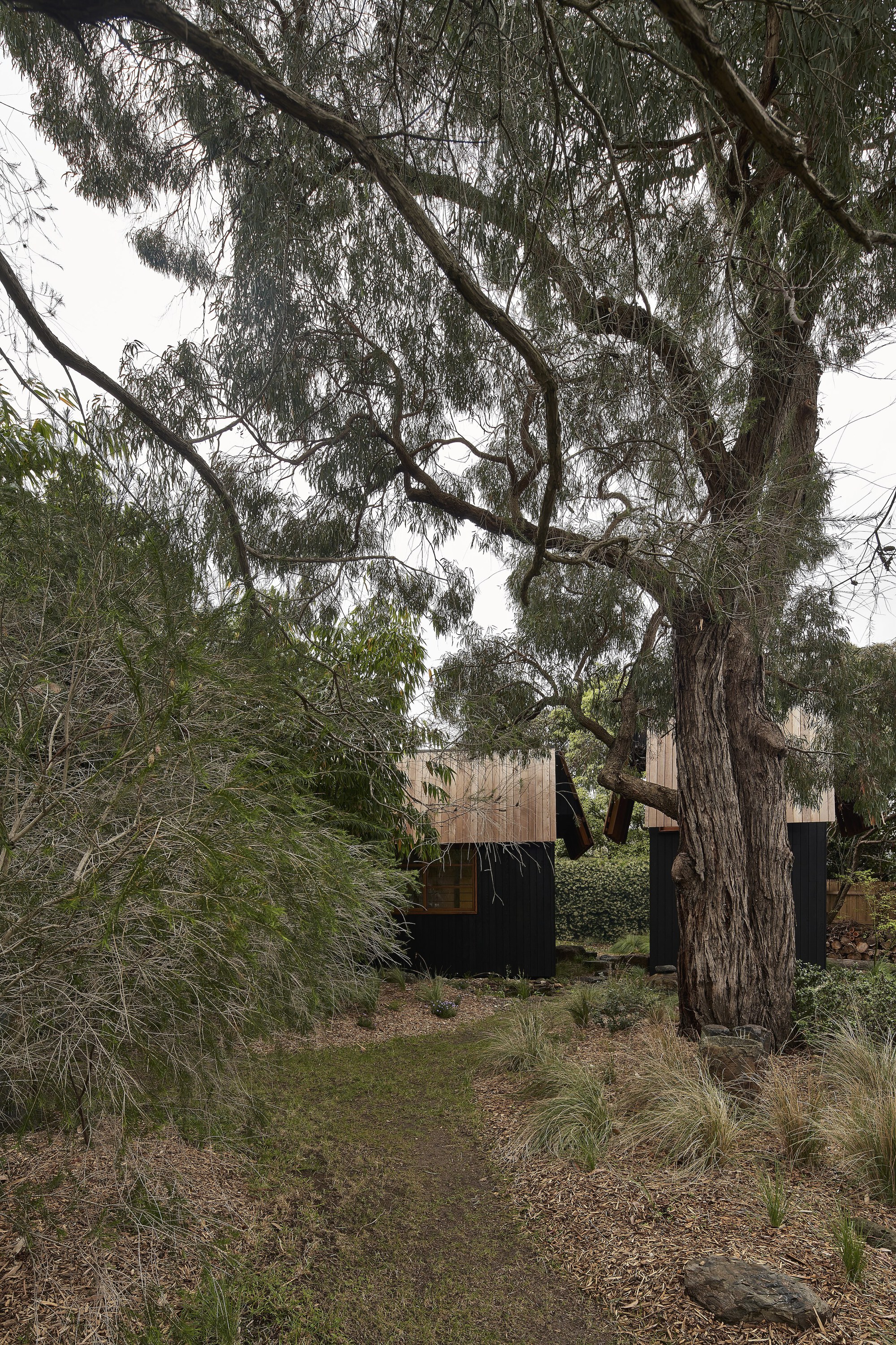 余烬之家丨澳大利亚丨MRTN Architects-27