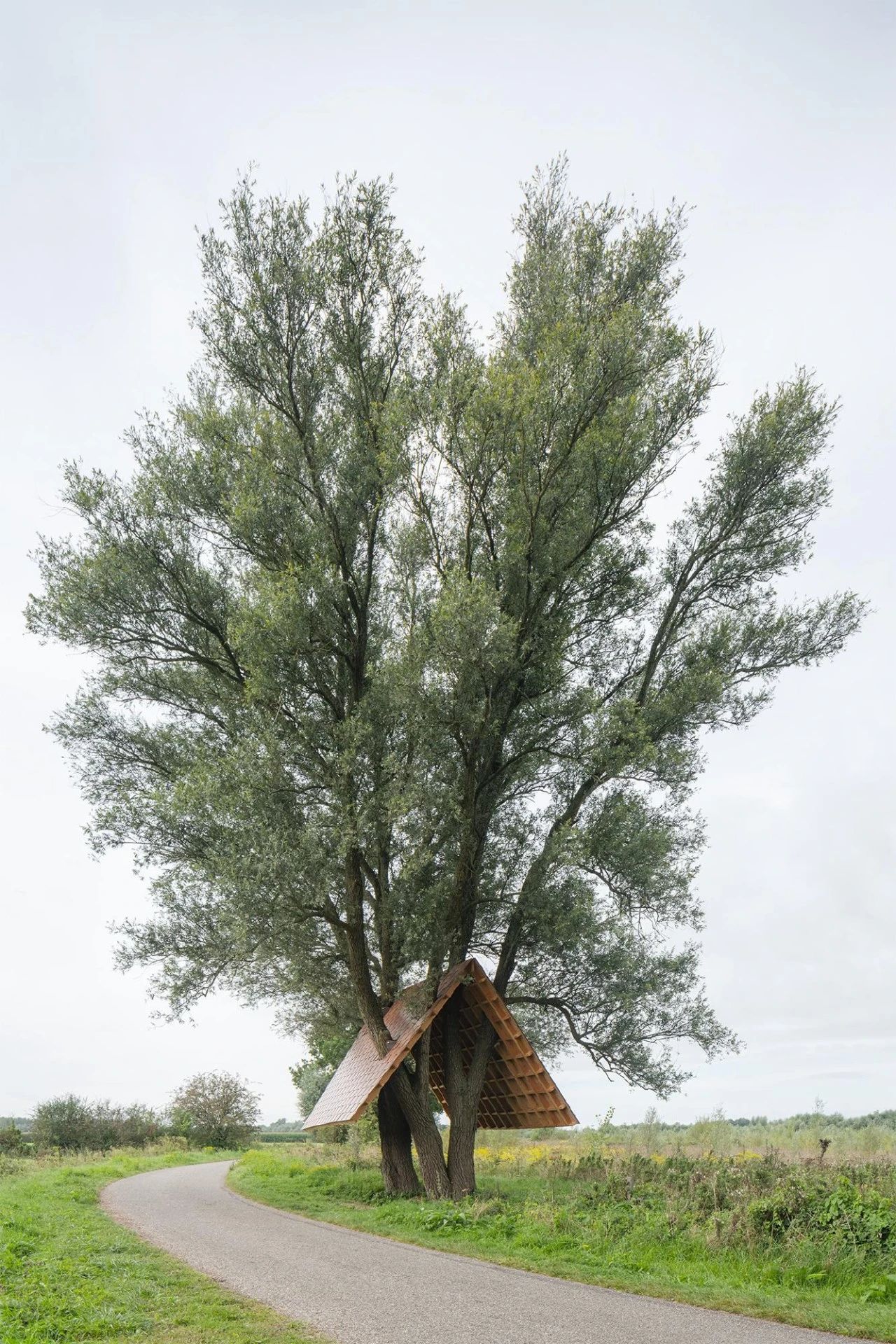 庇护所;避难所;掩蔽处丨荷兰丨比利时事务所 Gijs van vaerenbergh-7