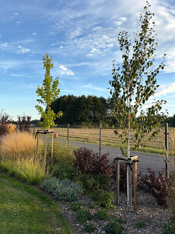 充满轻盈与和谐的花园设计-9