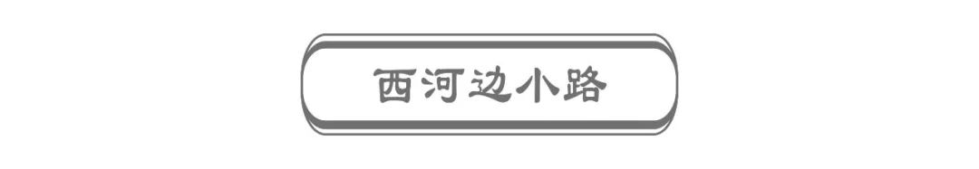 废墟重生，港河村涅槃——设计师的巧思与精雕细琢-70