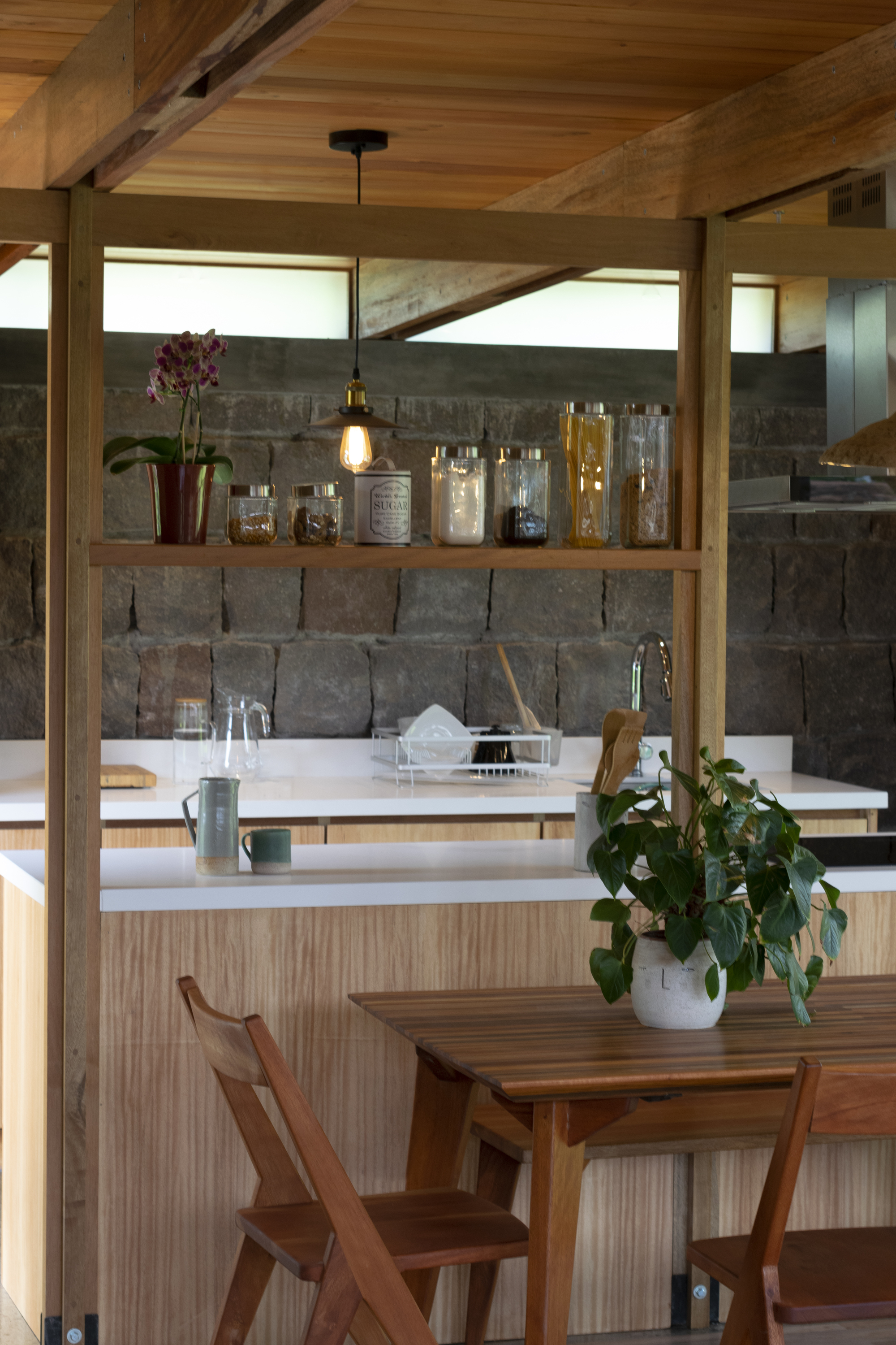 House Among Trees / El Sindicato Arquitectura-43