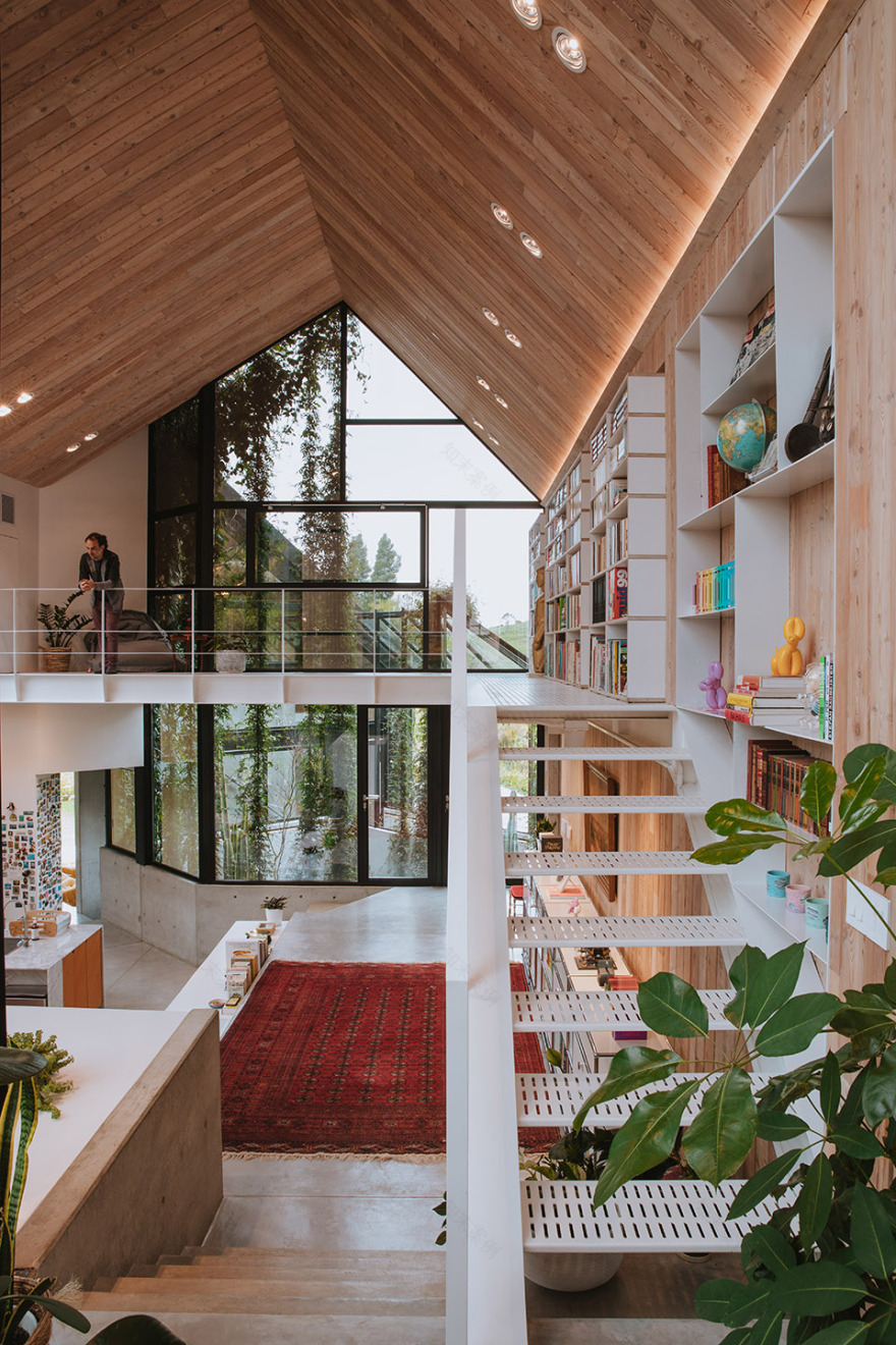 KRUPPA 住宅丨哥伦比亚丨Capa Arquitecture-57