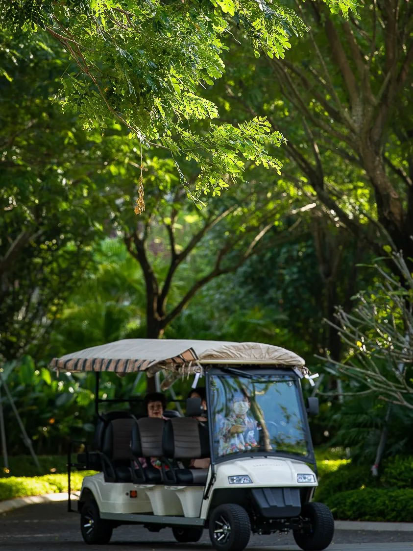 神州半岛君悦酒店丨中国万宁丨SED新西林园林景观-23