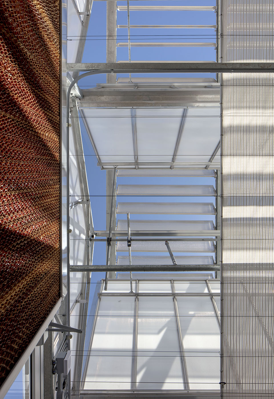 沙漠植物园一期丨美国-38