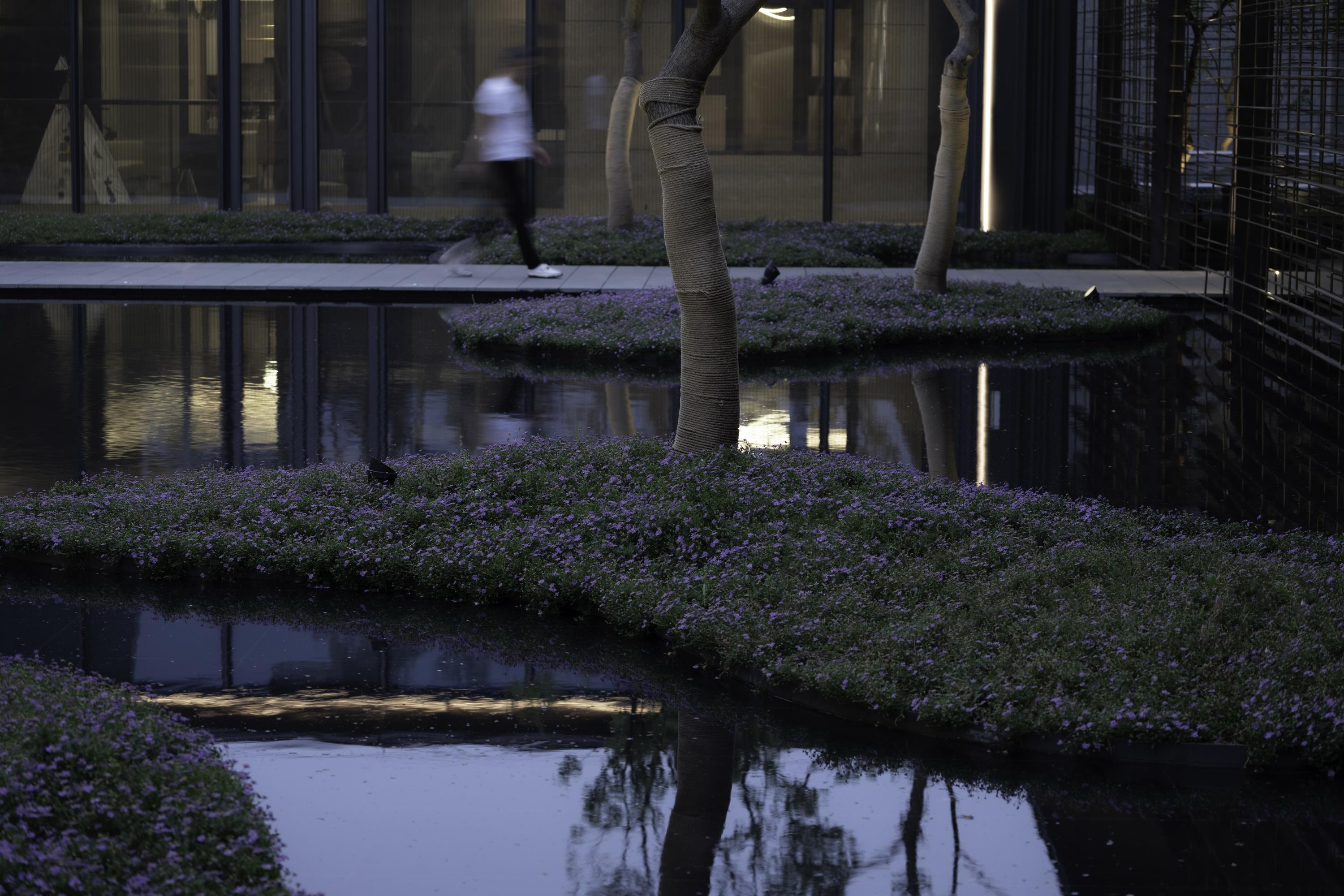 南京玄武映丨中国南京-44