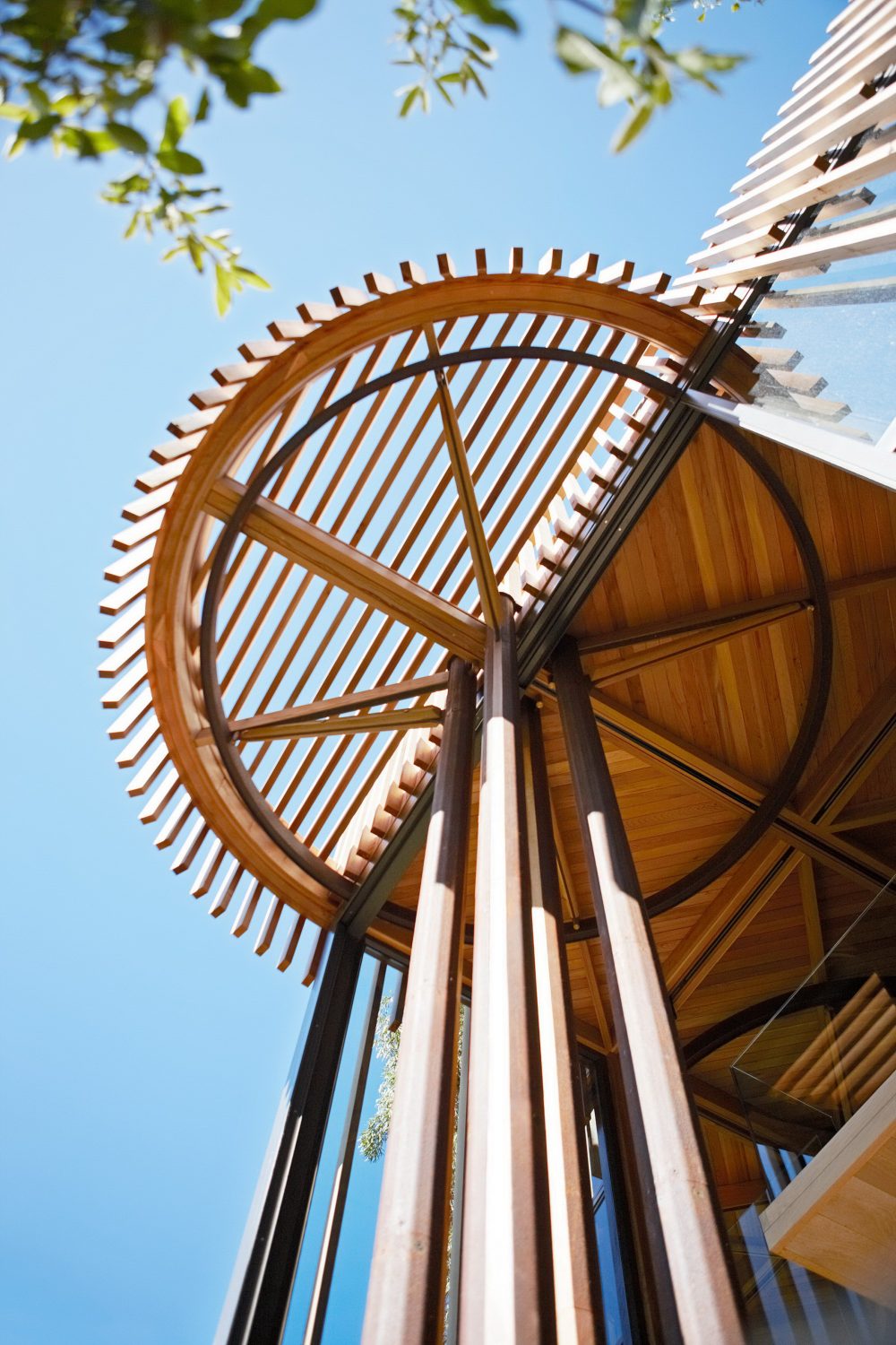 丨南非开普敦-24