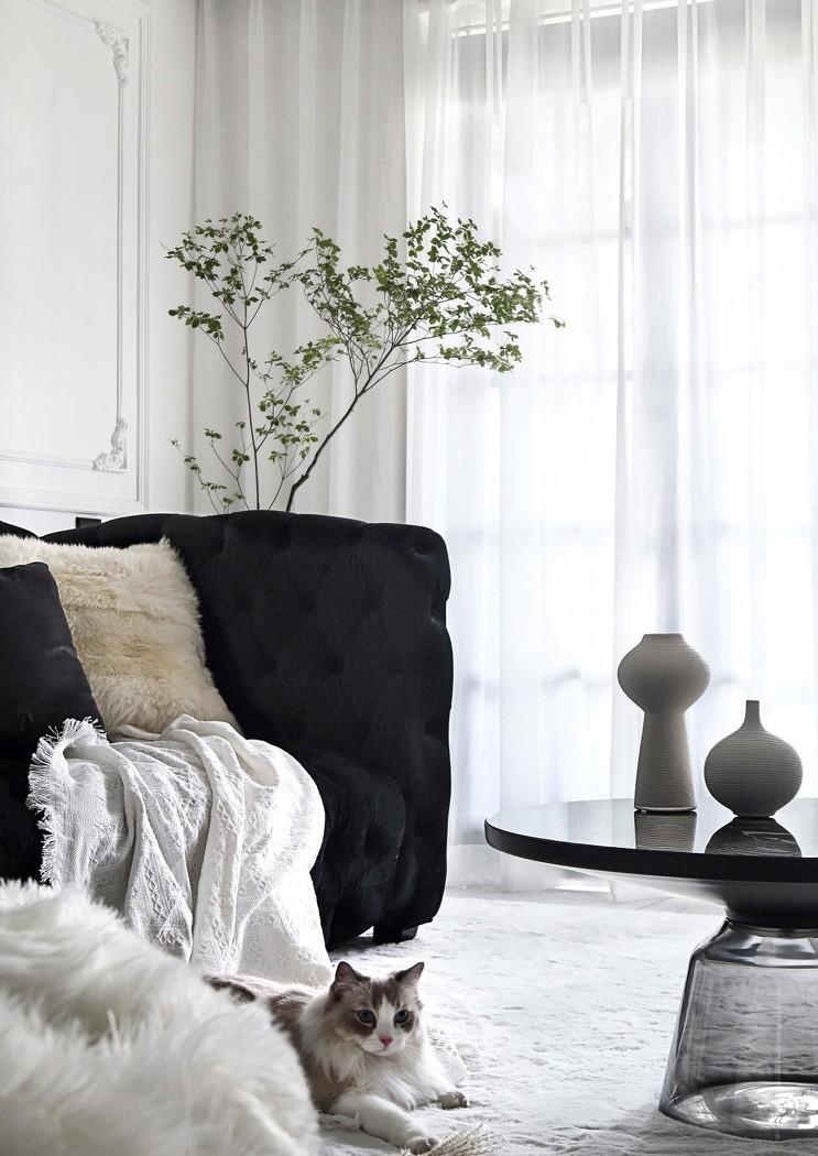 梦境光影中的艾瑞卡生活-14