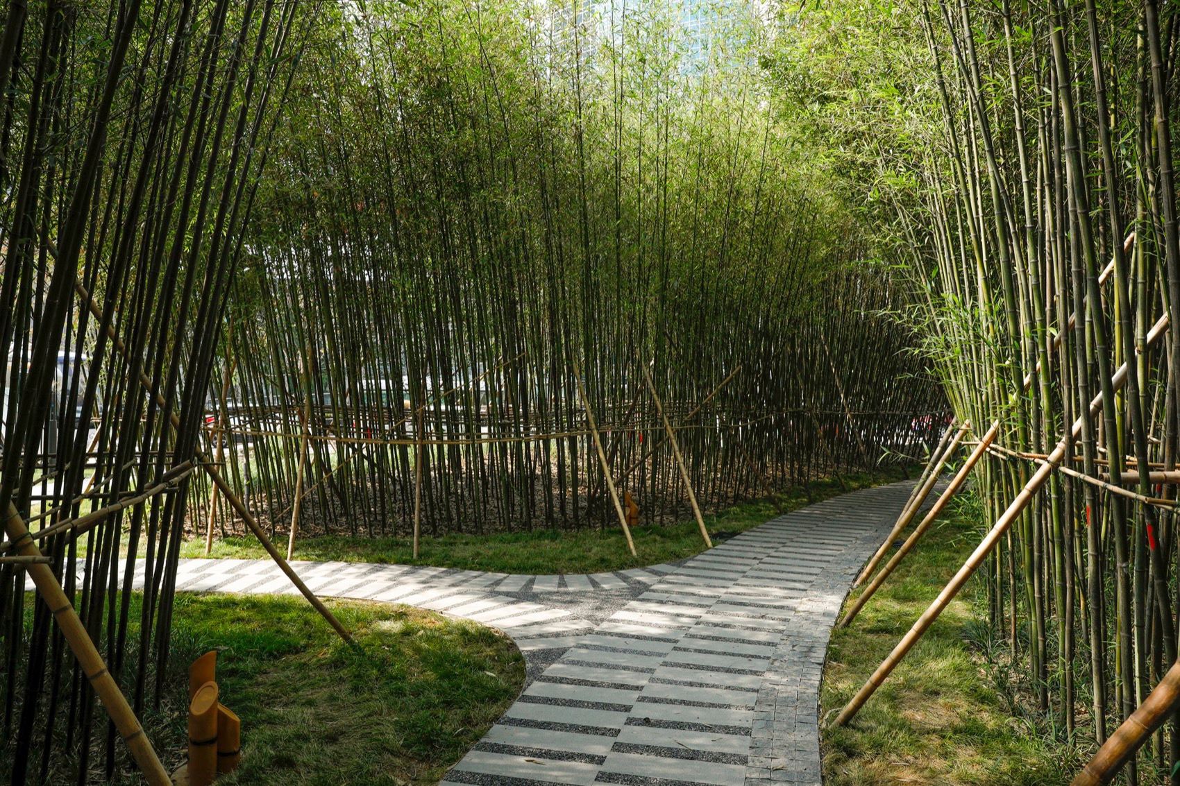 望京阜园景观改造提升设计丨中国北京丨埊木设计(CAFA·A城市艺术创新中心)-28