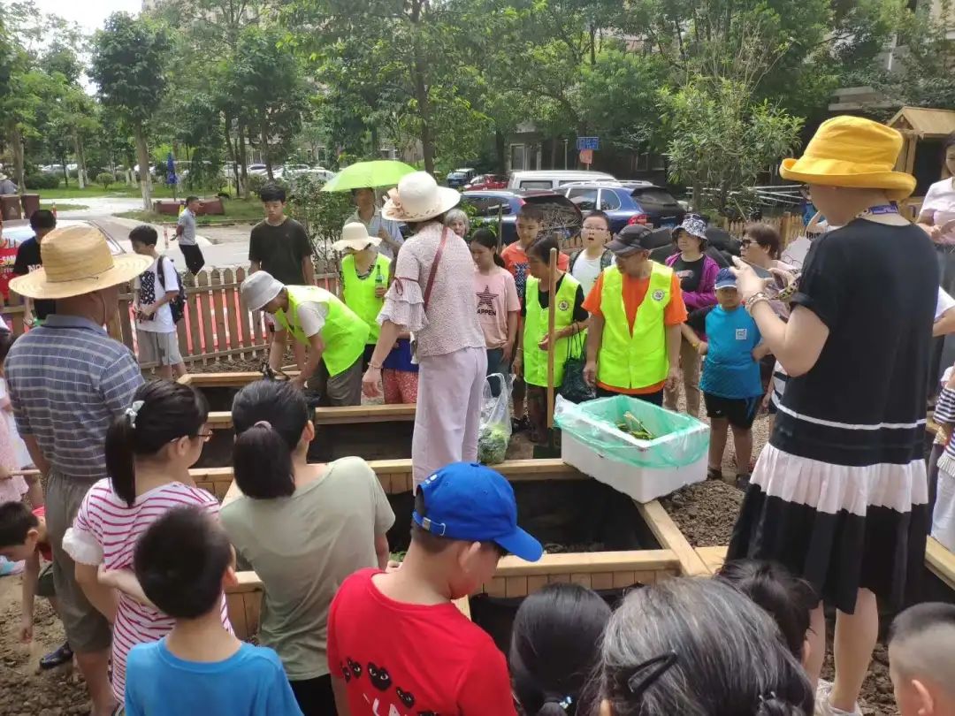 小区绿化带变身童话花园还差一个你，快快来加入吧！-44