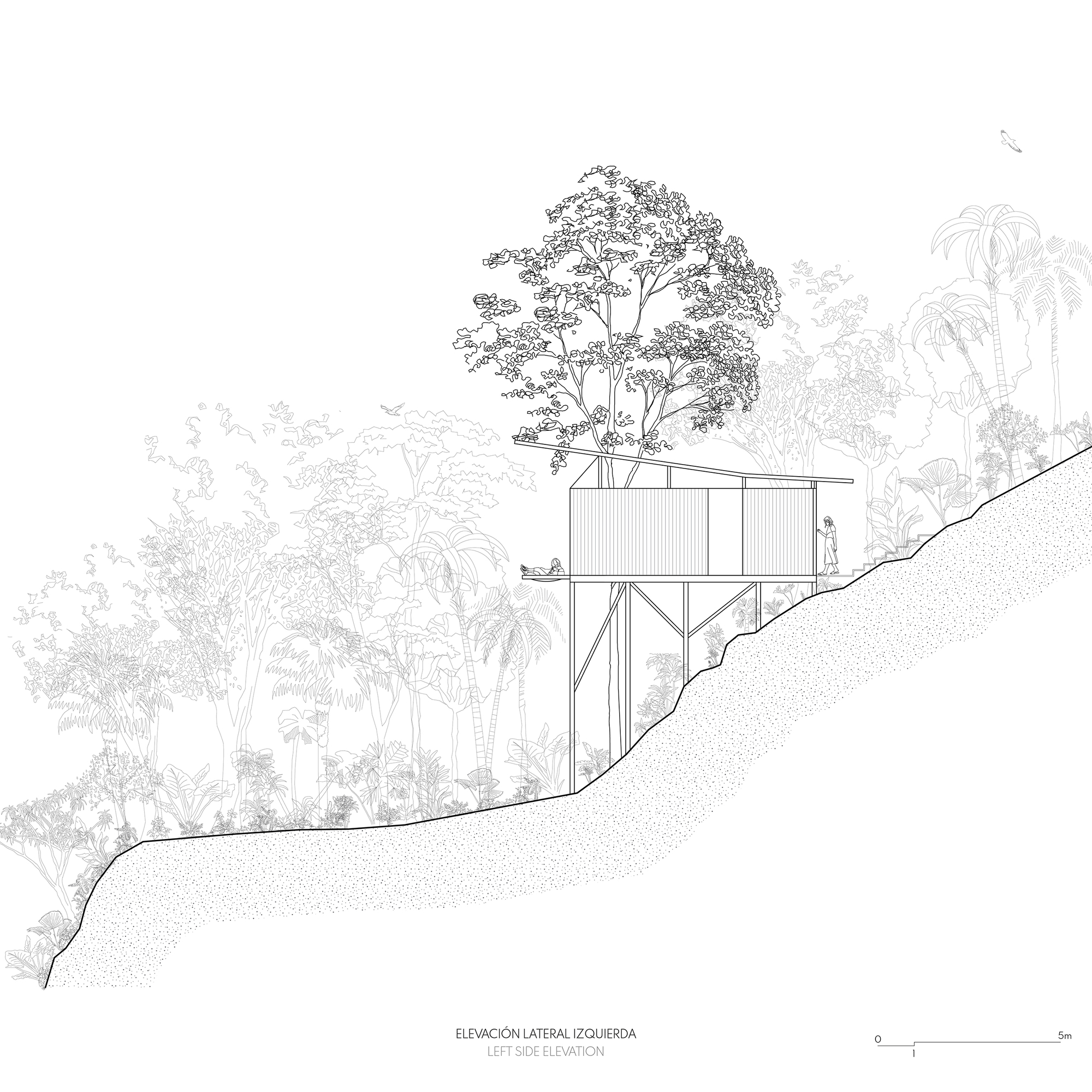 皮圭的一个小屋丨EcuadorPastaza丨Mestizo Estudio Arquitectura-45